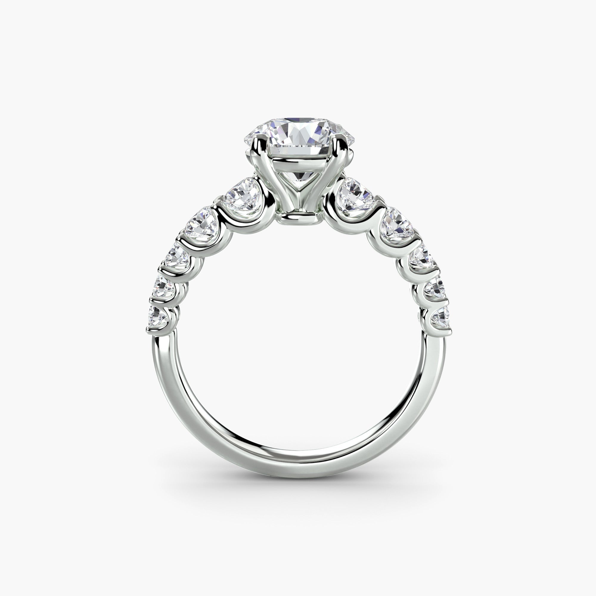The Graduated Accent Ring ALZA