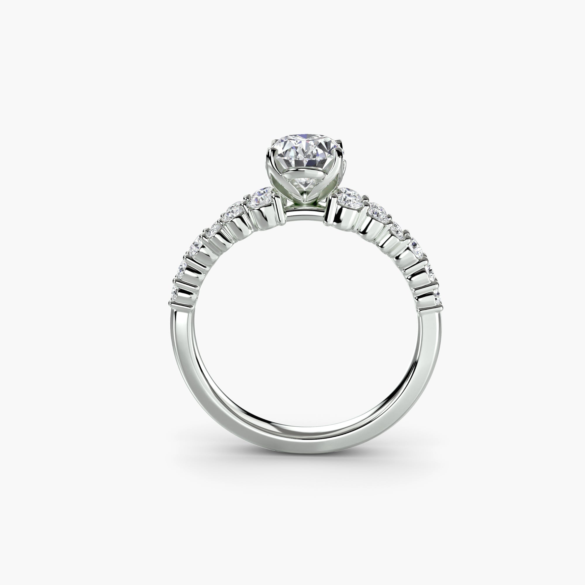 The Celestial Cluster Ring ALZA